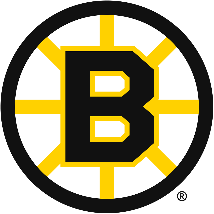 Boston Bruins 1949-1995 Primary Logo DIY iron on transfer (heat transfer)